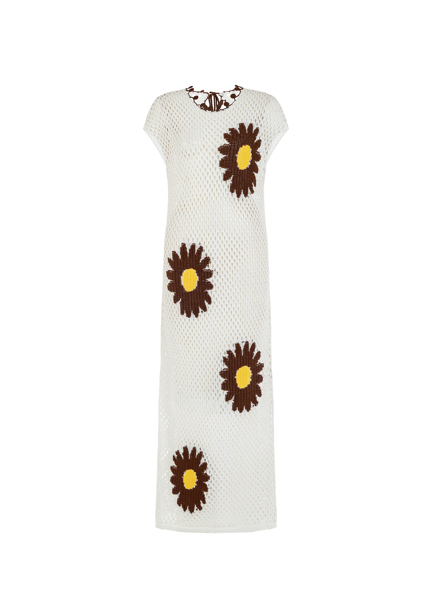 Daisy